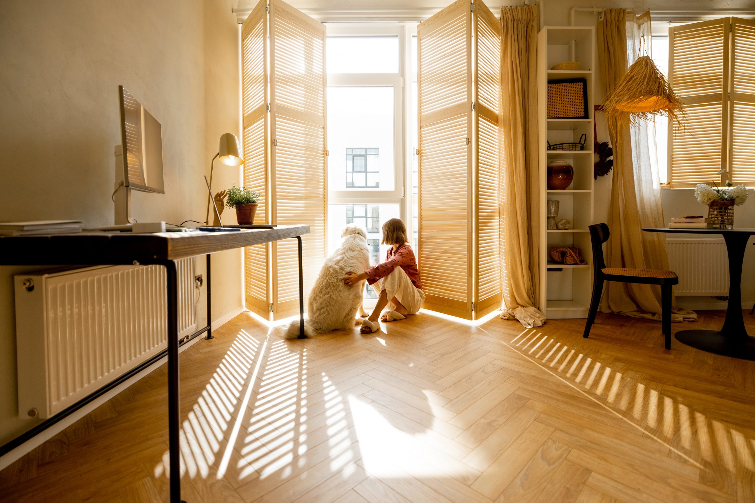 blinds blinds