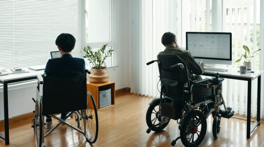 Commercial Window Shades